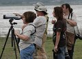 Looking for Tree Swallow Nest